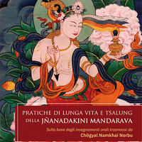 [ebook] Pratiche di Lunga Vita e Tsalung della Jñanadakini Mandarava