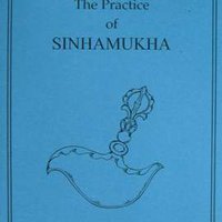 The Practice of Simhamukha
