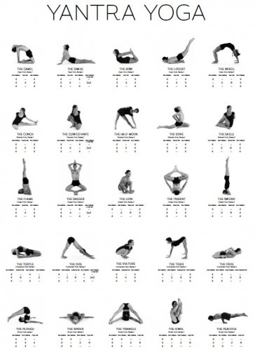 [File] Yantra Yoga Poster (PDF)