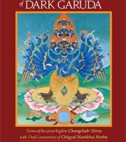 [E-Book] + MP3 The Practice and Action Mantras of Dark Garuda (PDF)